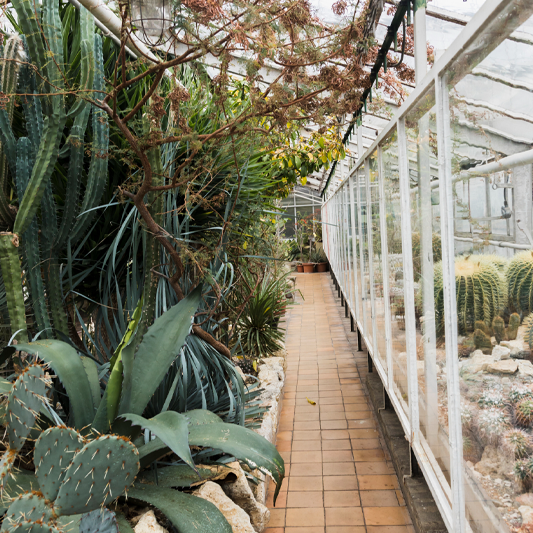 Terrasoverkappingen op Maat