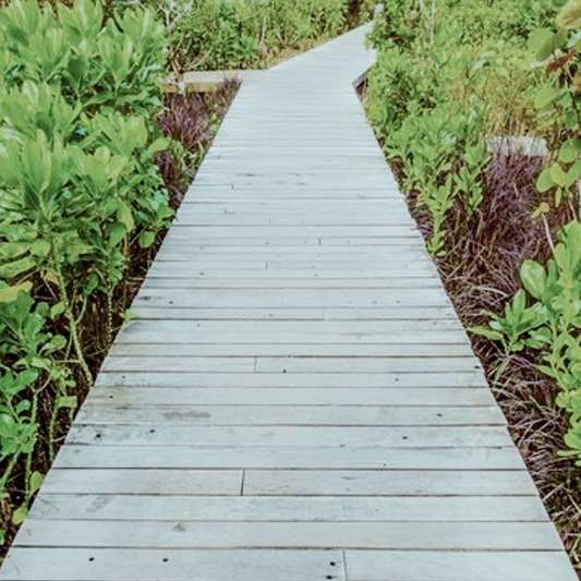 Schuifwanden & Glazen Systemen